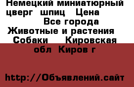 Немецкий миниатюрный(цверг) шпиц › Цена ­ 50 000 - Все города Животные и растения » Собаки   . Кировская обл.,Киров г.